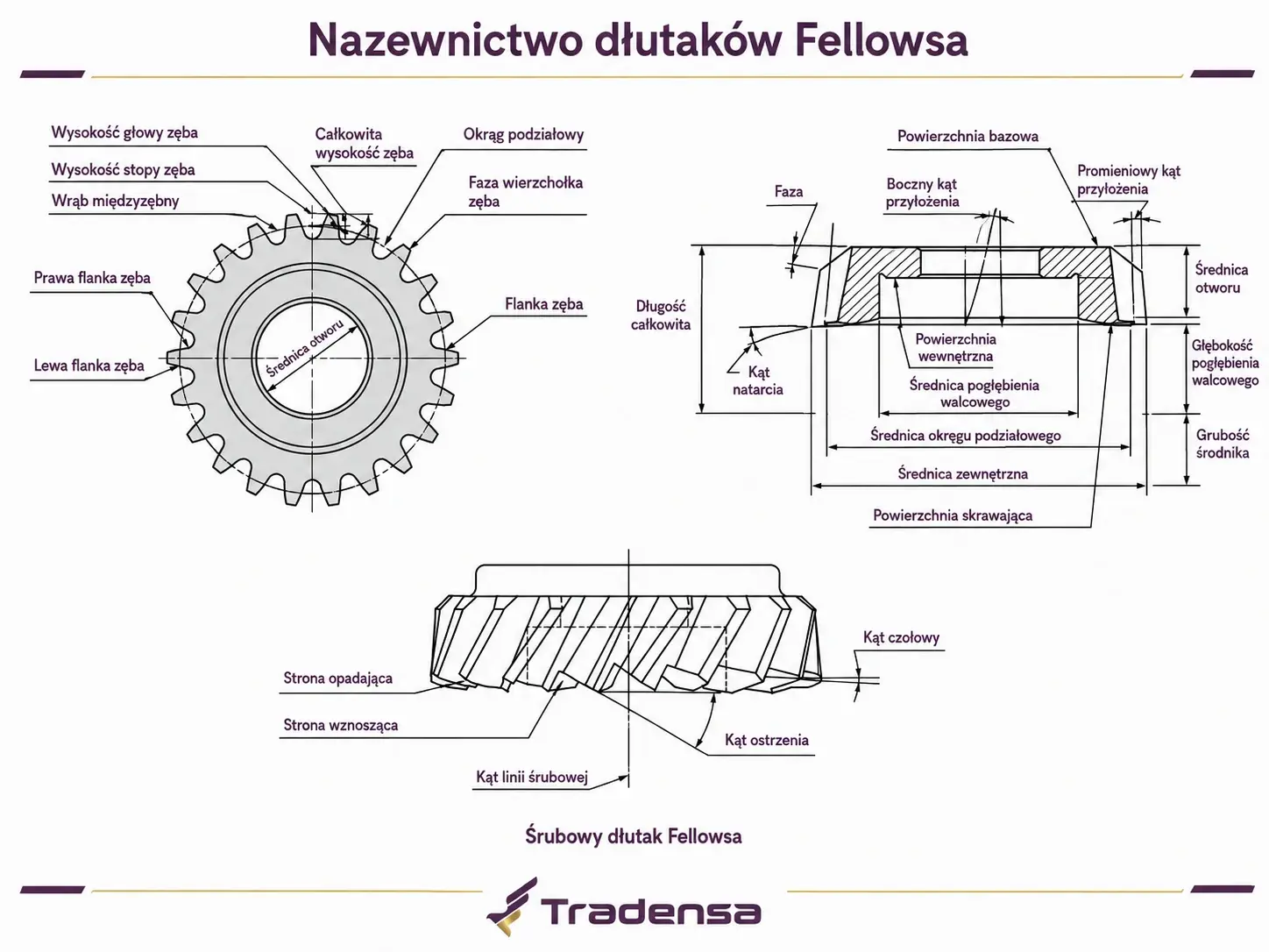 nazewnictwo-konstrukcja-dlutakow-fellowsa.webp
